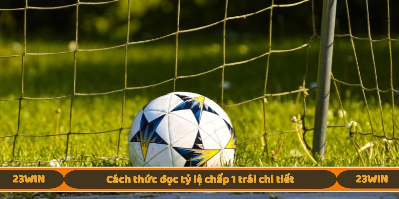 Cách thức đọc tỷ lệ chấp 1 trái chi tiết