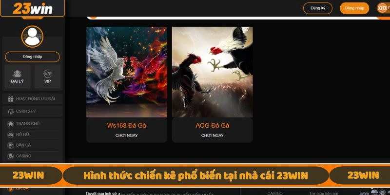 Hình thức chiến kê phổ biến tại nhà cái 23WIN