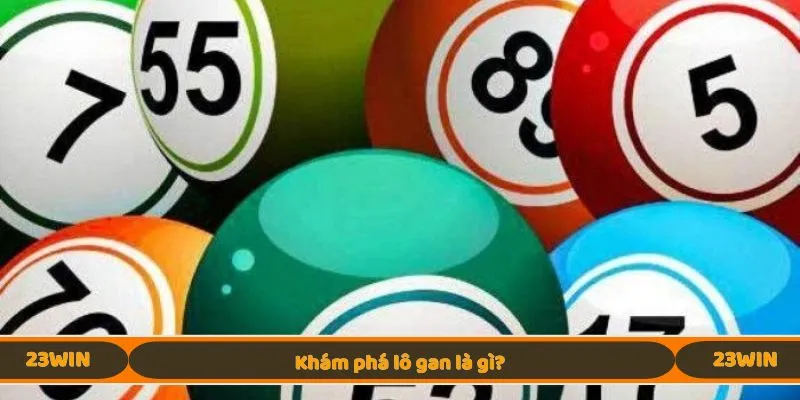 Khám phá lô gan là gì?