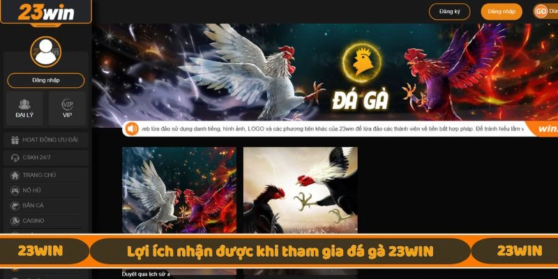 Lợi ích nhận được khi tham gia đá gà 23WIN