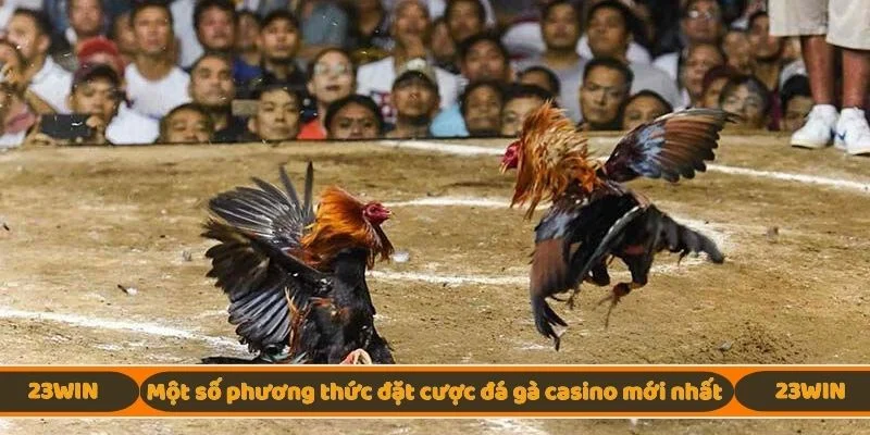Một số phương thức đặt cược đá gà casino mới nhất