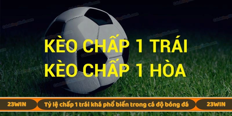 Tỷ lệ chấp 1 trái khá phổ biến trong cá độ bóng đá